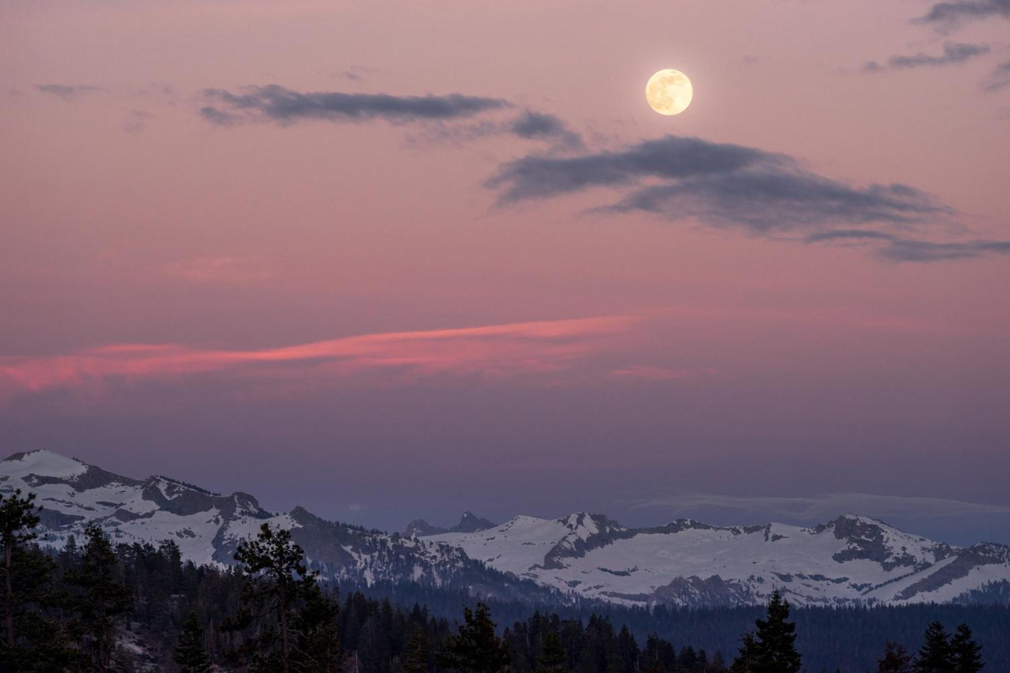 Montecito Sequoia Lodge Wilsonia Екстер'єр фото