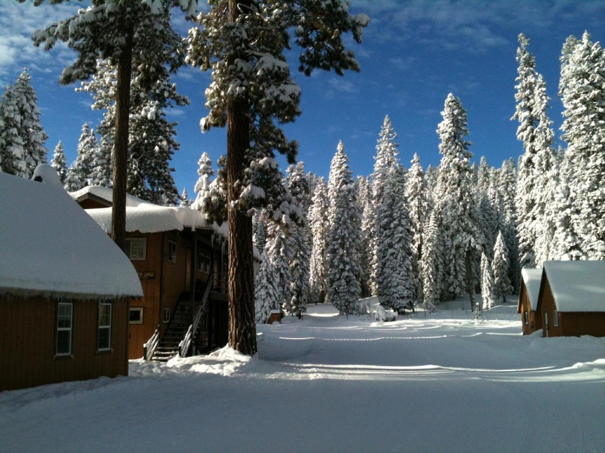 Montecito Sequoia Lodge Wilsonia Екстер'єр фото