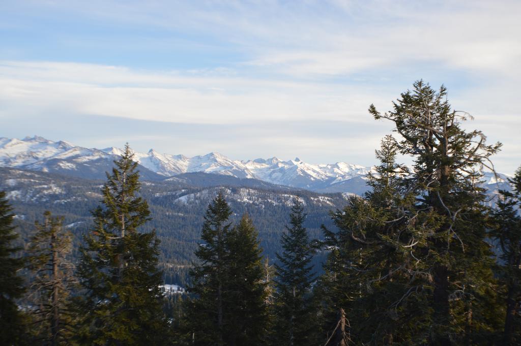 Montecito Sequoia Lodge Wilsonia Екстер'єр фото
